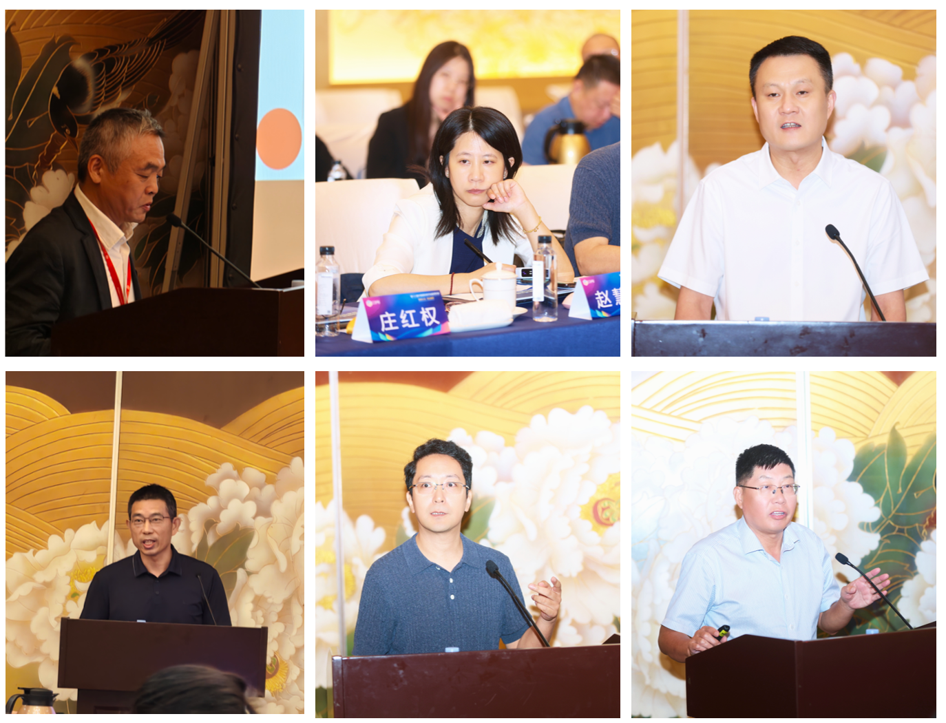 六家重点实验室代表围绕高质量数据建设和人工智能应用作重点发言